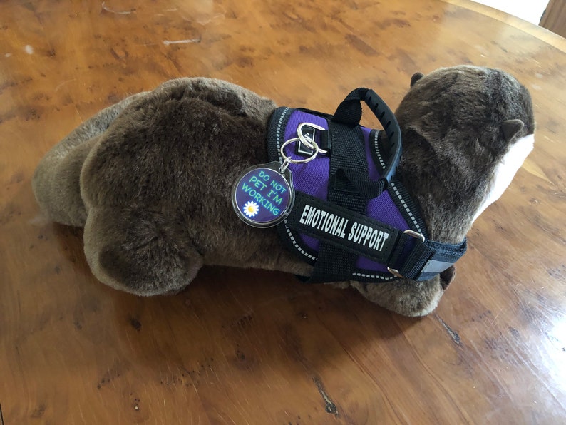 Emotional Support Otter Stuffed Animal Plushie Toy